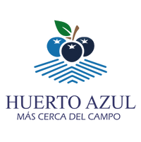 terrenos-en-pillanlelbun